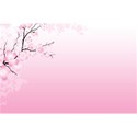 08-cherry-blossom-twitter-background