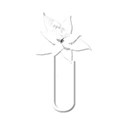 paperclipflowerwhite