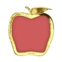 csb_appleframe-gold