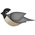 Chickadee 01 2 