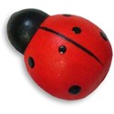 Ladybug 02 