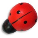 Ladybug 04 