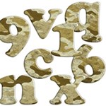 Carnourflage Background Alphabets 