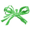 bow raffia 01 green