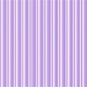 paper 43 many stripes purple