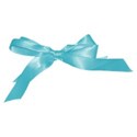 bow ribbon teal