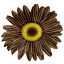 KKGerbera14