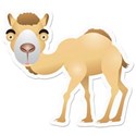 KKAKCamel1