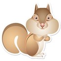 KKAKSquirrel1