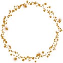 circle sq diamonds 01 gold