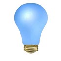 bulb