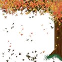 fall_tree3