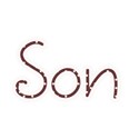 Word Art - Son