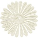 kitc_garden_flowerwhite