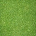 grass paper