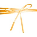 orange ribbon