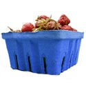 bucketstrawberries 2