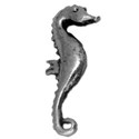 seahorse