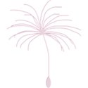 dandelion_seed_pink