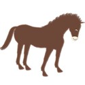 horse