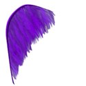 purple_feather