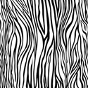 PP17-zebra_mikki