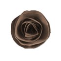 paperfloweraccentbrown