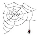 Web with spider