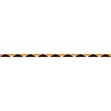 orange-whites line