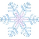 bos_lis_snowflake09