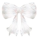 jThompson_apricotCream_bow1