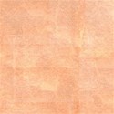 jThompson_apricotCream_paper6