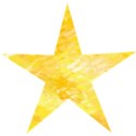 Star7