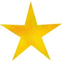 Star8