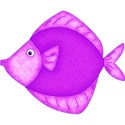 purple fish