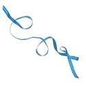 ribbon blue 3