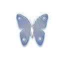 blue butterfly