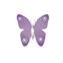 violet butterfly