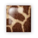 period_giraffe_mikki