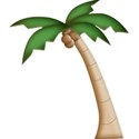 coconut tree