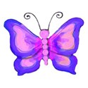 6 blue and pink butterfly