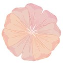 large pink flower