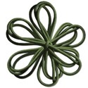 stringflowergreen