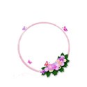 circle pink flower embelishment butterflies