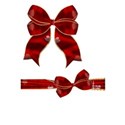 Bow-Ribbon2_SF