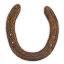 horseshoe