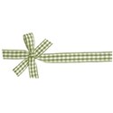 ribbon plaid green