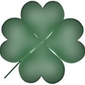 bos_bog_clover01