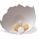 egg shell-beads-shadow