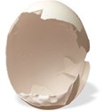 opened egg-shadow